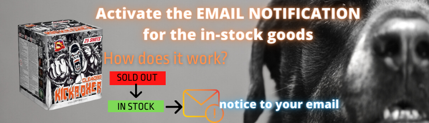 Activate the email notification